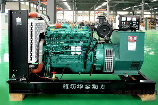 戰(zhàn)斗雞”配上發(fā)電機(jī)，我的事業(yè)有保障了