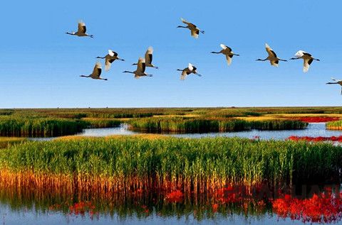 華全發(fā)電機：接地氣！大濰坊一言不合又攢了個全省 